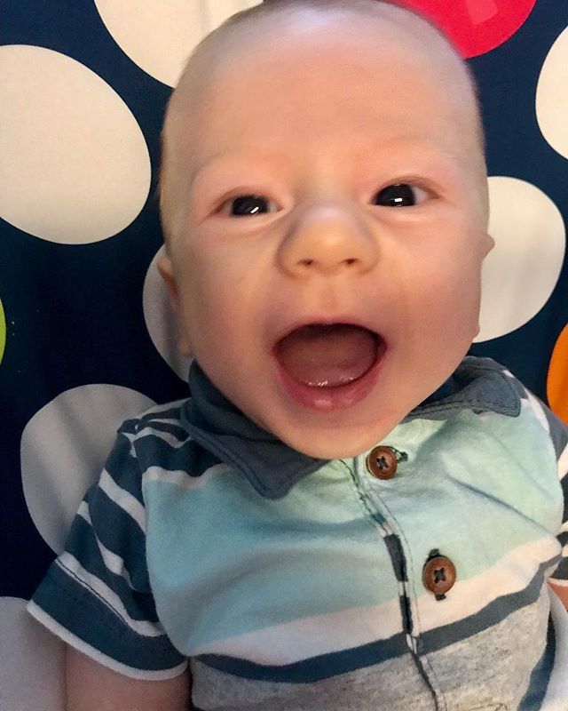 NatalieLipka's tweet photo. Love this face... #GerberPhotoSearch2018 #RodRod @patrickdavidphoto https://t.co/ZicziRzsVI https://t.co/5MBsKh0ozQ