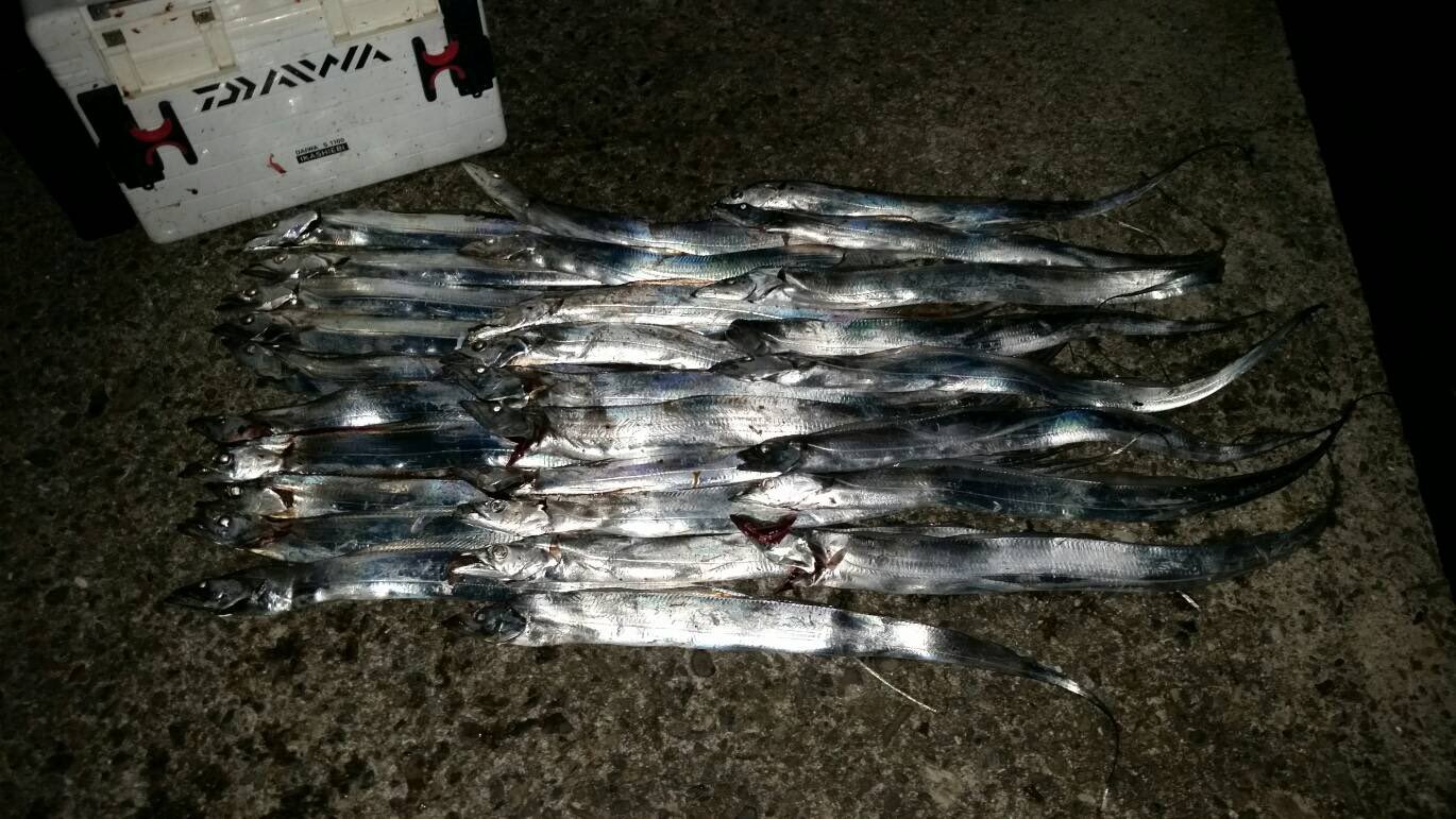 ふるっち 昨日はやる気のないタチウオ多かった アタリ出てからフッキングせえへん 掛け率5割もいってないわ O O タチウオ ウキ釣り サンマ 貝塚港 T Co 5gt3ghtn5g Twitter ふるっち 昨日はやる気のないタチウオ多かった アタリ出てからフッキングせえへん 掛け率5割もいってないわ O O タチウオ ウキ釣り サンマ 貝塚港 T Co 5gt3ghtn5g Twitter