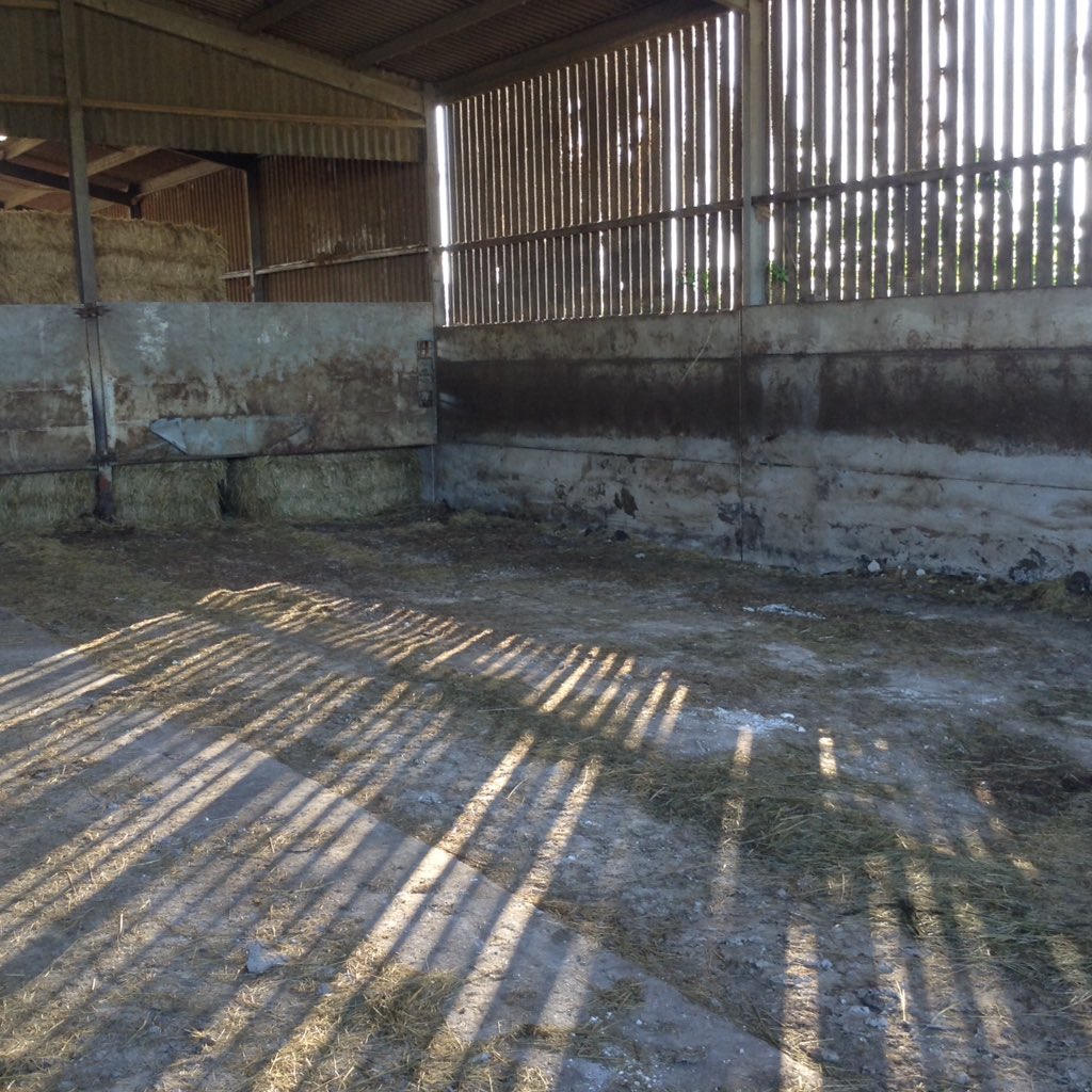 south downs shed