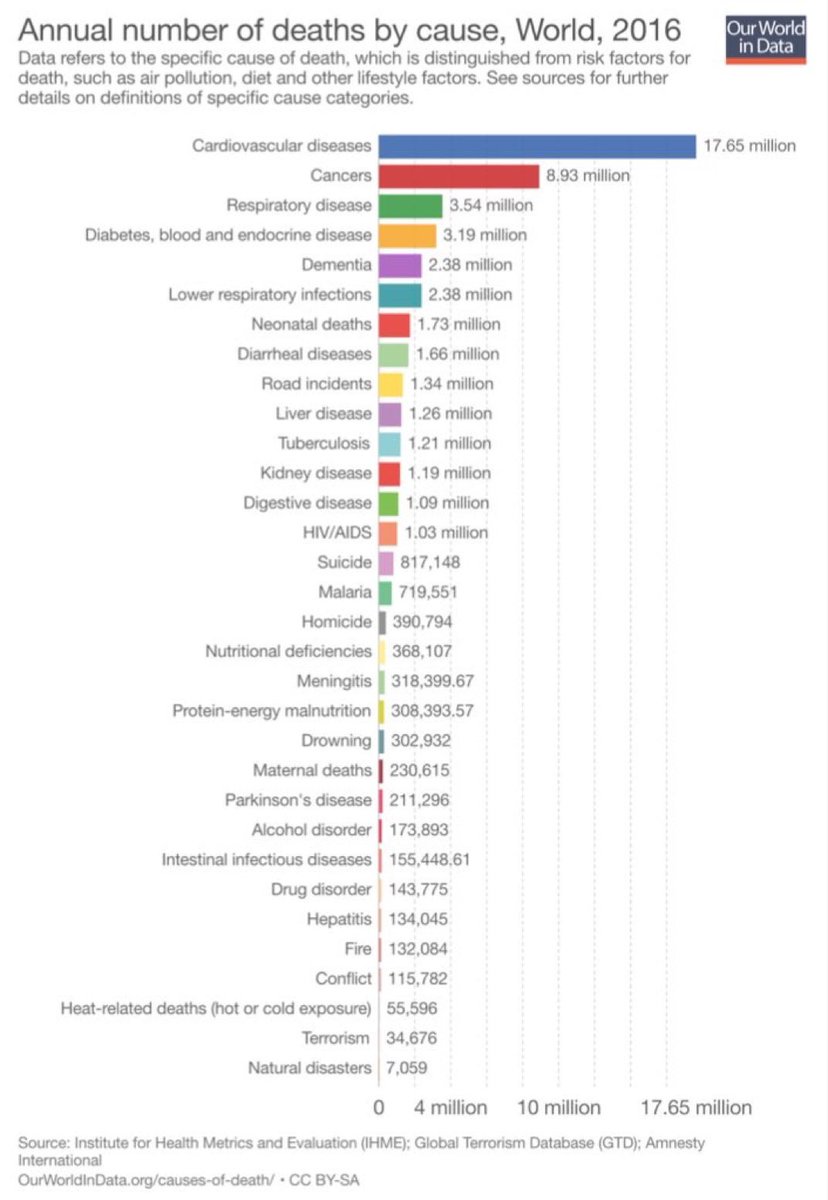 What the world dies from:

1 cardiovascular 17.6m
2 cancers 8.9m
3 respiratory 3.5m
4 diabetes 3.2m
5 dementia 2.4m
6 lower respiratory 2.4m
7 neonatal 1.7m
8 diarrheal 1.7m
9 cars 1.3m
10 liver 1.3m
11 tuberculosis 1.2m
12 kidney 1.2m
13 digestive 1.1m
14 HIV 1m
15 suicide 0.8m