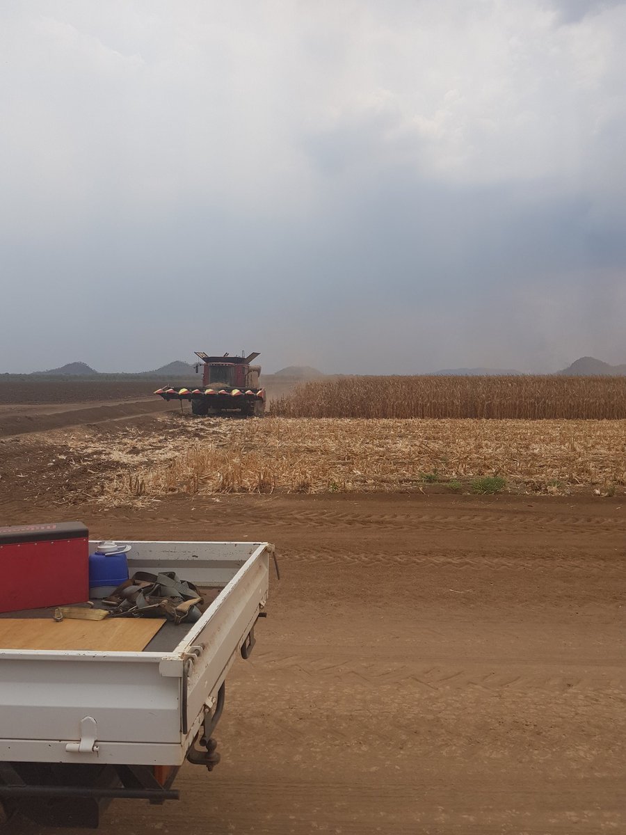 1acripps's tweet photo. So good to catch up with a few old mates and spend some time in gods own country. #Ordco #corn #kununurra https://t.co/xdcHrIpFRC