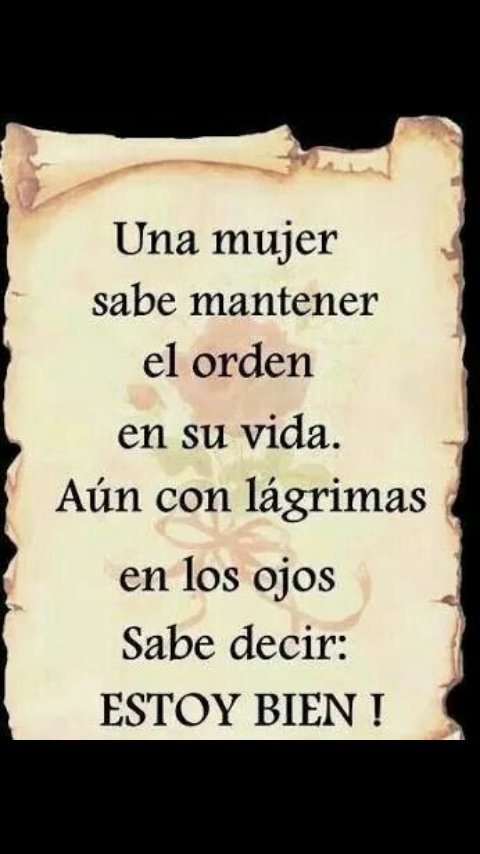 RiosSolberg's tweet image. 