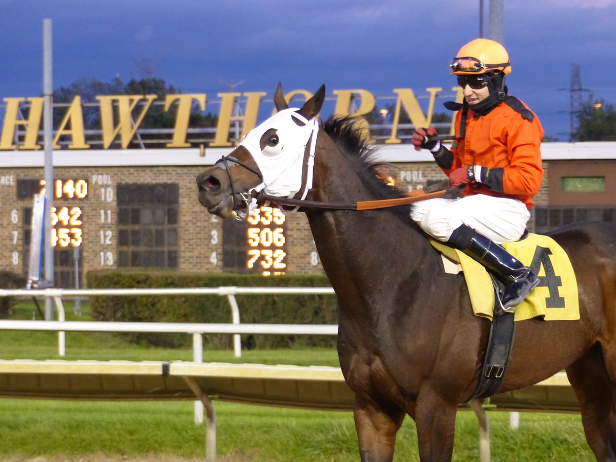 Picks & Ponderings (picksponderings) Twitter