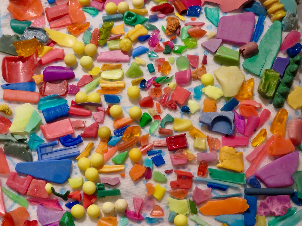 Some small degraded plastic pieces I've started collecting recently. There are a few places along Ballyholme Beach where these accumulate. Some of the smaller pieces are microplastic (<5mm). Can anyone confirm that the yellow balls are plastic airsoft pellets? #2minutebeachclean