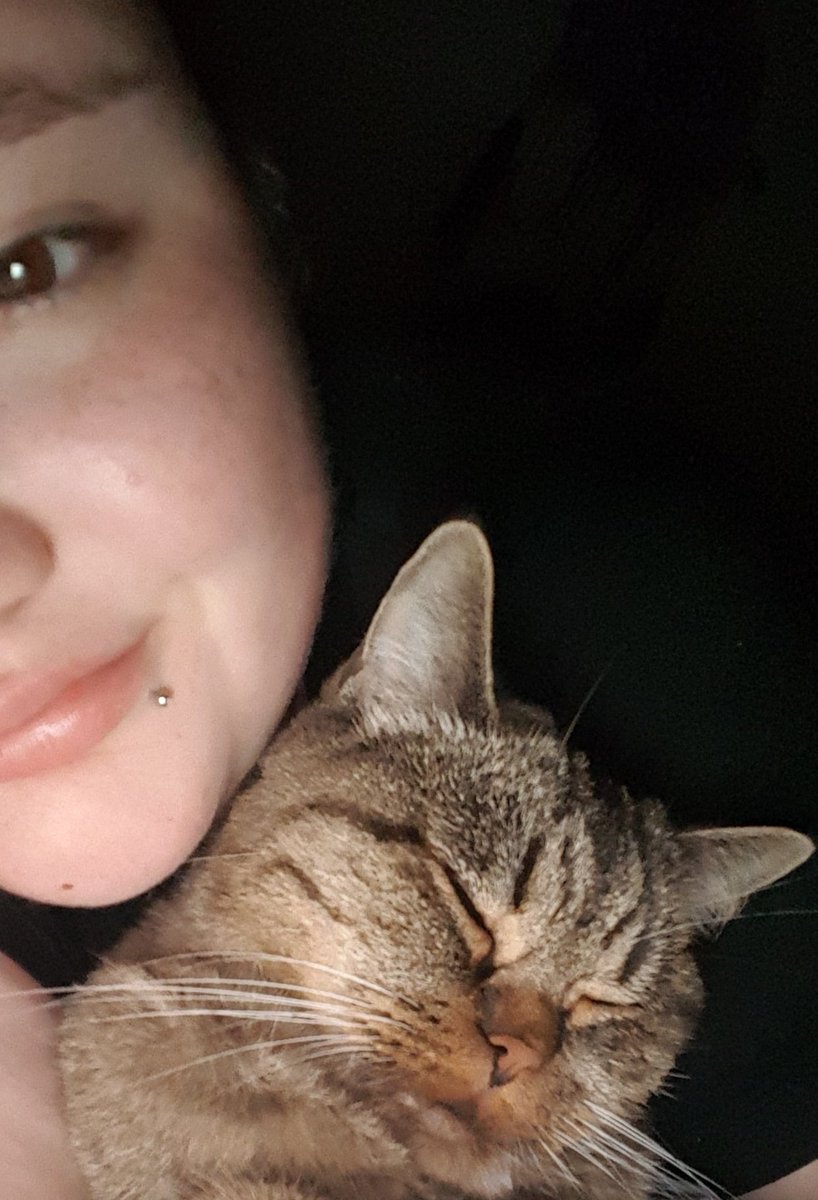 After more than two months seeing my cute girl only a few days... We are finally back together! 😍💜😻
#catmom #cat #catlove #soulmate #love #morethanapet