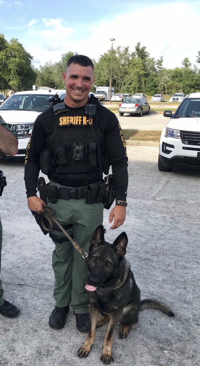 K9sOnPatrolLive's tweet photo. Congrats 🎉 to Dep. #Carmack &amp; #K9Shep for being invited to #LivePD studio next weekend. 🏆

I guess #ShepHappens next week! 🐕 👮 

Nice job @LivePDNation &amp; @PascoSheriff &amp; @OfficialLivePD 💚

@LadiesOfLivePD @9PMRoutine1 @Sgt_LarkinsGang @LivePdBlueLine https://t.co/380GDTFznq