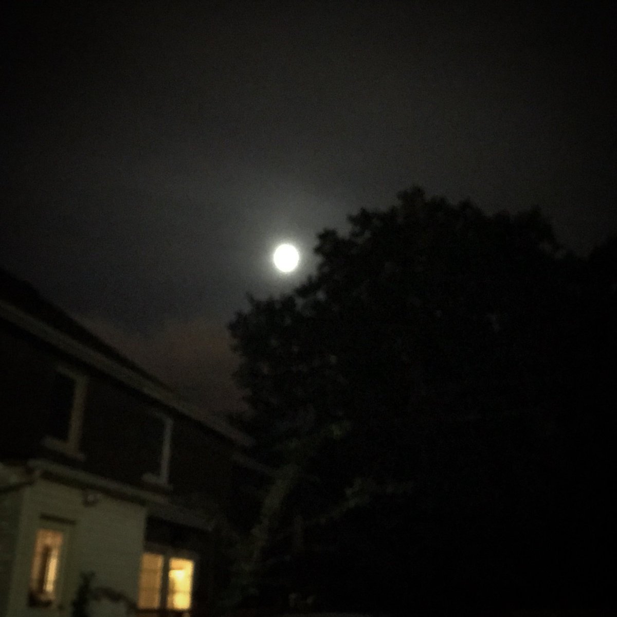 NebulousNikki's tweet photo. A cloud-shrouded moon on this International Observe the Moon Night. 😊 #astronomy #InMON #moon https://t.co/ciP1hJ9jcF