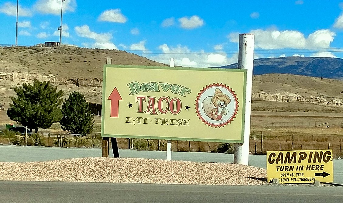 ccMecham's tweet image. #thejokeswritethemselves