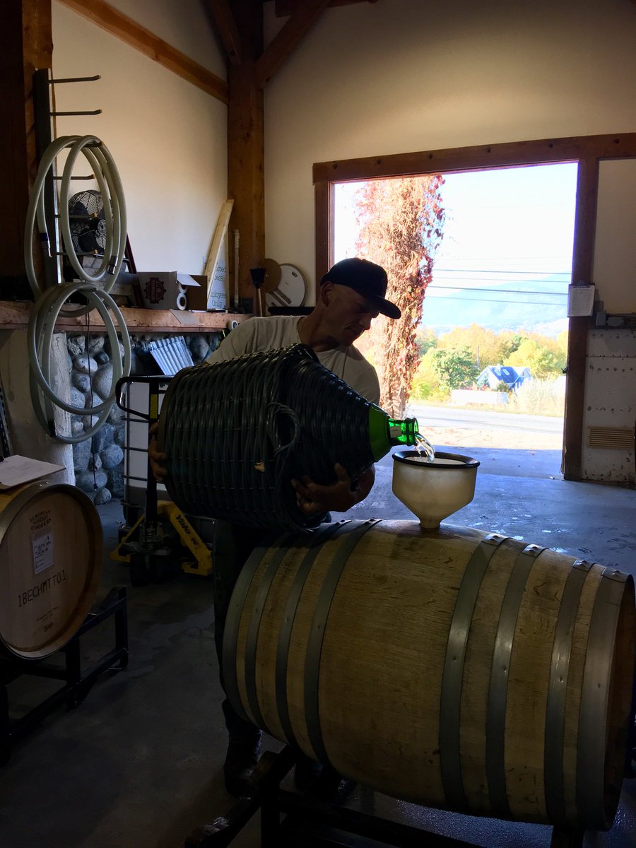 winekath's tweet photo. First port barrel fortified for the season @hillsidewines #soirée en blanc #muscatottonel #yay #bcwine #bcharvest2018 https://t.co/cxyi4O33VA