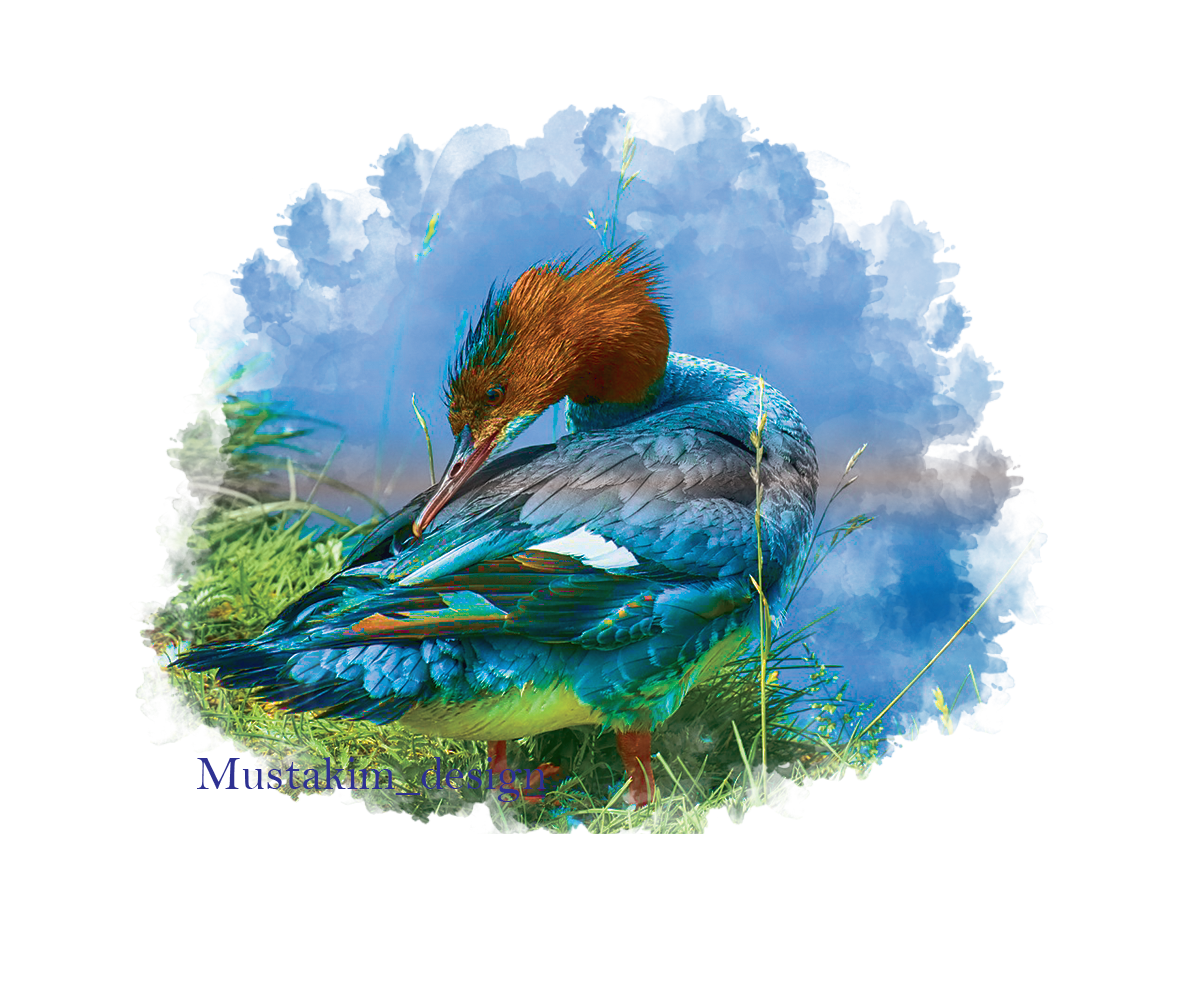 DesignMustakim tweet picture