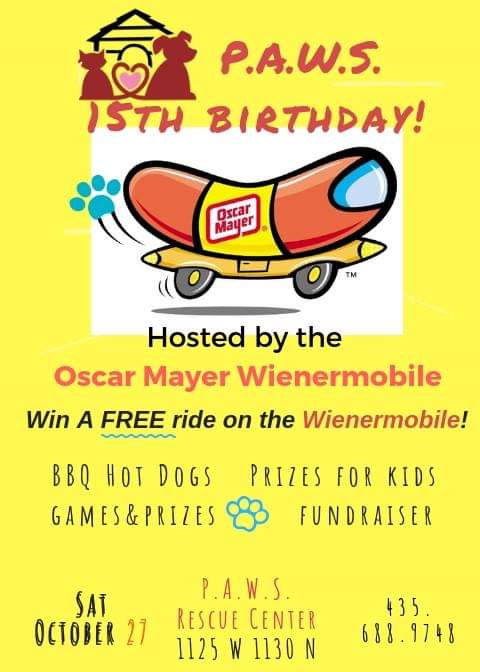 PAWS (Providing Animals with Support) (@stgeorgepaws) on Twitter photo 