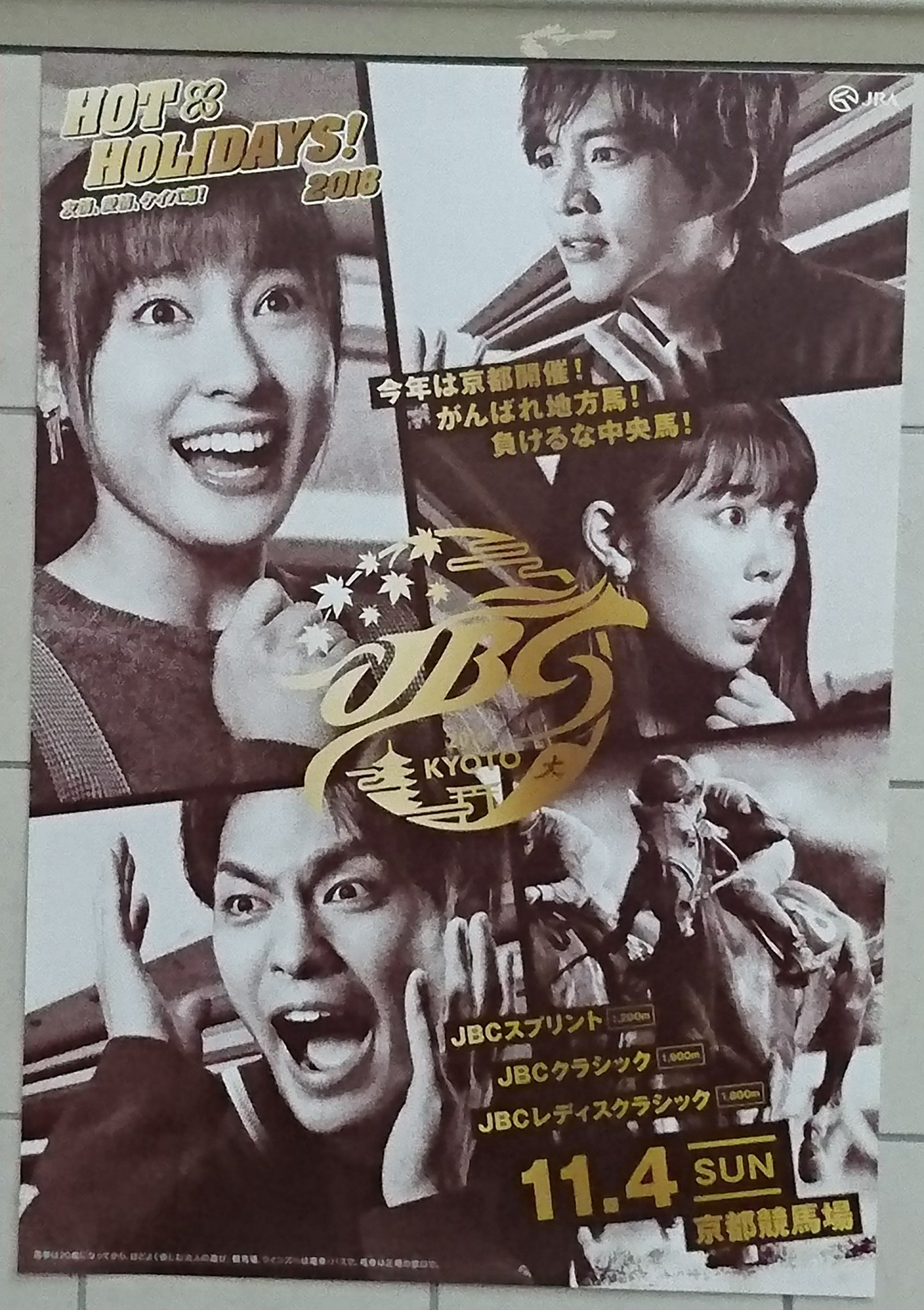 みきまな в X: „JBCポスター見つけた！ #菊花賞 #京都競馬場