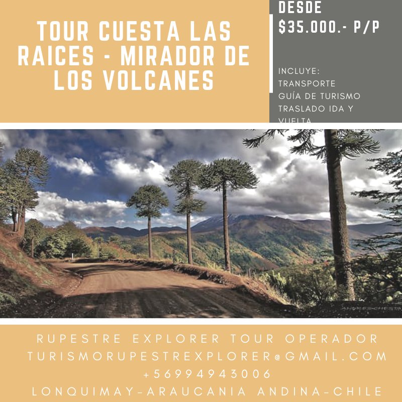 rupestrexplorer's tweet photo. Ven y #RecorreLonquimay con nosotros ..!!! 
#Lonquimay #AraucaniaAndina #Chile #ChileTurismo #Trekking #Subturismo https://t.co/qVPr4Lxgl9