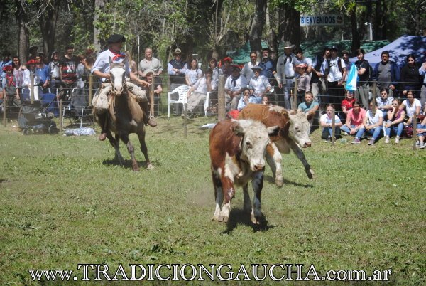 tradiciongaucha's tweet photo. Competencia de Aparte Campero en la Fiesta Nacional del Caballo en Bragado, porque #ElBragaoEstaDeFiesta
@fdcbragado https://t.co/22cs2KtDTg
