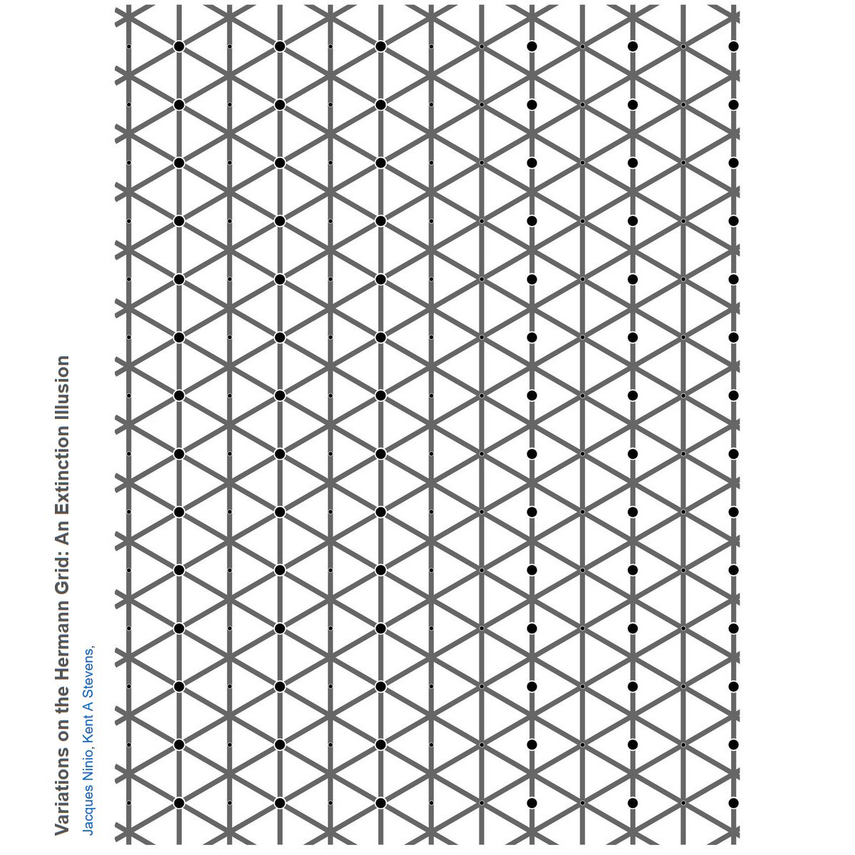 pickover's tweet photo. Reality shatter. 

The left side and the right side of this lattice have the same number of black dots. 

By Jacques Ninio and Kent Stevens, "Variations on the Hermann grid: an extinction illusion," Used with permission of K. Stevens. https://t.co/UoiztliNtm