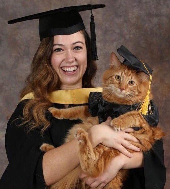 CatsDaily247's tweet photo. Shownus your cat photos/videos! Join our group!❤️
https://t.co/oZKpGdLyVR https://t.co/eWseivdKxi