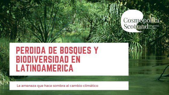 Cosmopolita Scotland tweet media