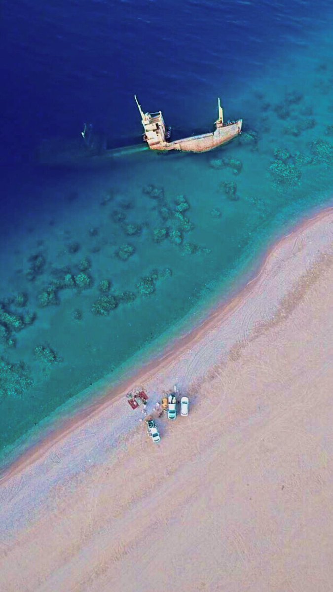 عبدالله | مـصور 🗞. tweet media