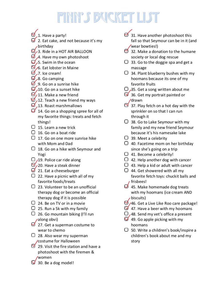 Finn, G Retriever (6), Stowe, VT • “He has lymphoma. I'm a nurse and noticed his lymph nodes felt weird. We’re crushed by it. We made a bucket list to make his final days more amazing. He went up in a hot air balloon! One of his to-do’s is to ‘Become a celebrity’.”