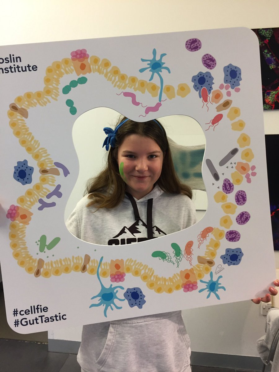 alisonslow's tweet photo. Great fun at work today for #EBopen. My kids were thoroughly entertained for the entire 5 hours whilst I made paper #phages at crafty corner - no photos as we were too busy! โCellfieโ of middle child - thanks @DrPrernaVohra! @roslininstitute https://t.co/dLTQLcWaVp