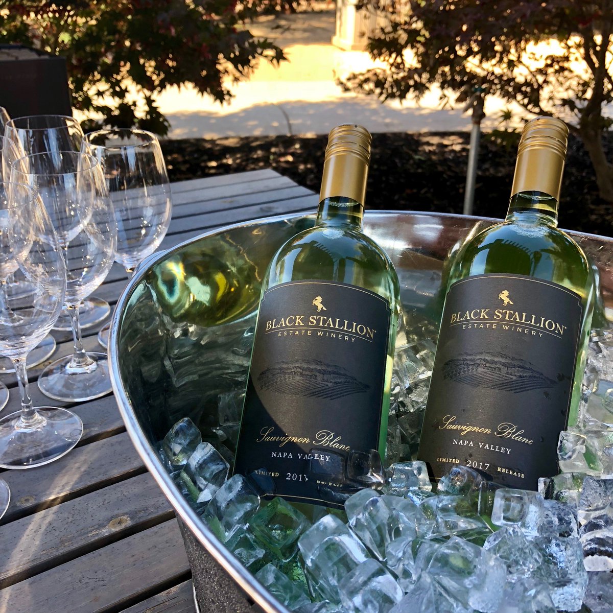 Looks like it's going to be a lovely, warm #weekend here in #Napa. Good thing we're ready to chill. Cheers! #blackstallionwinery #SauvignonBlanc