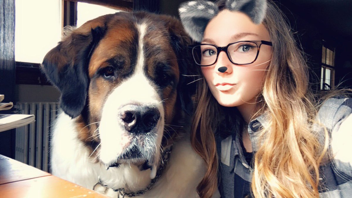 maddygrimm's tweet photo. the “try it with your cat” didn’t work on my dog but he still cute tho ❣️ https://t.co/LETEK8IZSG