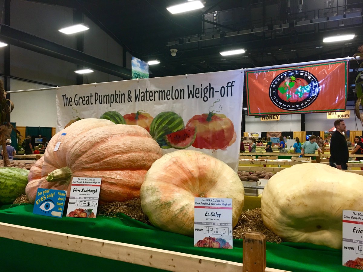NCStateCALS's tweet photo. My, my, what big #pumpkins we have here! If you're at the @NCStateFair and want to enter to win a free #dairy museum and #farm tour, take a photo with a large #vegetable like these using #CALSStateFair. More details here: https://t.co/svMkpNGrMS https://t.co/7dVU2bZo2d