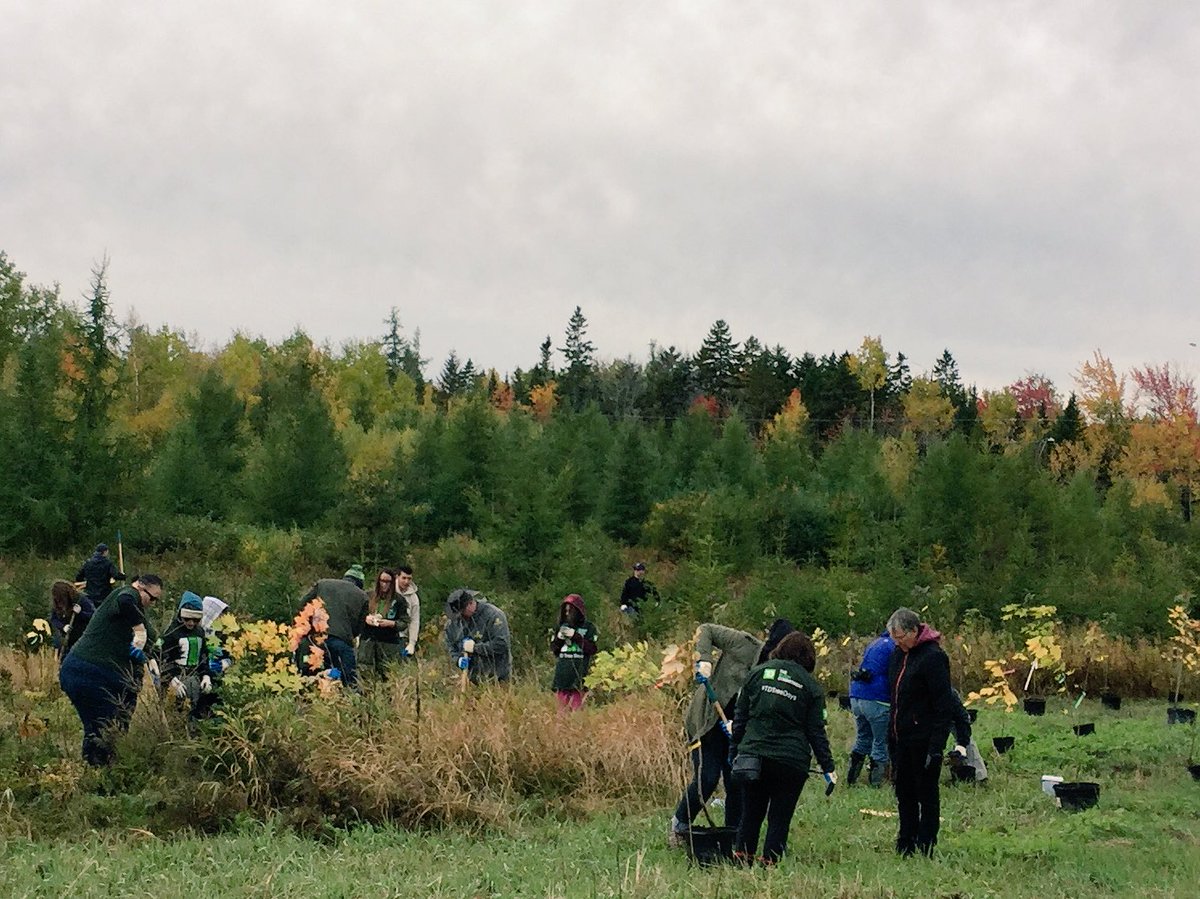 Moncton TD Tree Day #TDTreeDays #TheReadyCommitment #teamwork #community #150trees #somuchfun <a href="/SanaHubaishy/">Sana Hubaishy_TD</a> <a href="/scott_belton/">Scott Belton</a> <a href="/TinaFMurphy/">Tina Murphy</a> <a href="/KateCogswell1/">Kate Cogswell</a> <a href="/emtara456/">Tara Em</a> <a href="/LauraLeeBurke6/">Laura Lee Burke</a> <a href="/albordage/">Alain Bordage</a> <a href="/Jessicamk55/">Jessica Knight</a>