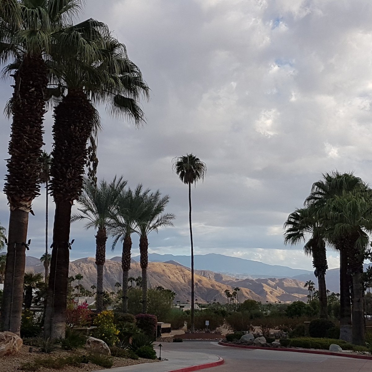 See ya later #PalmSprings it's been a slice. Thanks for putting on a great conference @URISA and @CalGIS #GISPro #CalGIS #postconferenceblues