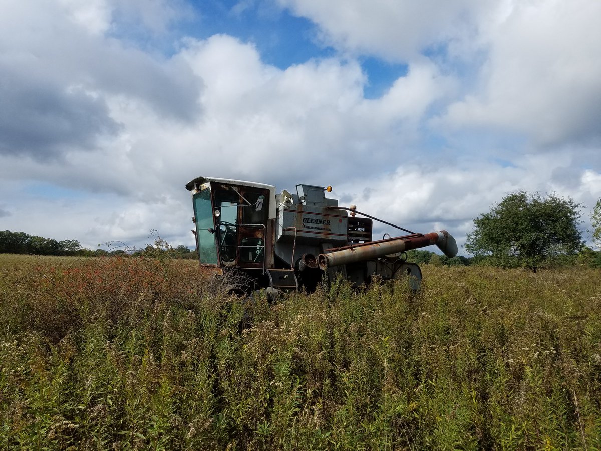 Park ranger at the end of the universe (@sky_captain860) on Twitter photo 
