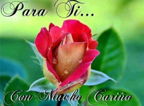 MemaEmma53's tweet photo. @Heryrevi @aliprisusa @chelo_112 @ibecast @28Xl00 @linda_astorga @iracema11 @freddyespinosa3 @luibustilloso @yezoraya @MariaSilvita_95 @LiviaRevenga @MaestraNiurkaT @gordin_ines @cainecagua @MilaSilva97 @Fleitassoyyo @EHiguerey @RomyFPSUV @NicolasMaduro @100cienCHAVISTA @pablo_patriota @LaPiraya @PamelaInesza @dblancog @MarinaeGuerra @decabellor @cdmb23 @micolRM @patitalasalvaje @valleavanzadora @Camiii4F @Monicarojita @ferondon2006 @YOCO23457113 @inma28 @olgajaimes @skfbrando @aminanefertari @malave_nancy @gladyslinares1 @vidapazlibertad @yasnuquin @Lomb1209 @fiomater @Patria_ve @CarnetDLaPatria @PresidencialVen @tuiteros_vzla BENDECIDA TARDE 
*\O/*   :   ( https://t.co/gIFXXznEGV