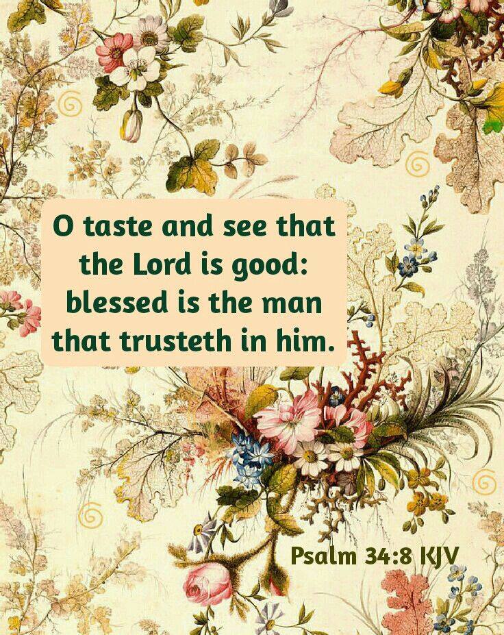 Stewart7Donna's tweet photo. O taste &amp; see that the Lord is good: blessed is the man that trusts in him. O fear the Lord, ye his saints: for there is no want to them that fear him. Ps34:8,9. https://t.co/bPElPzg03O