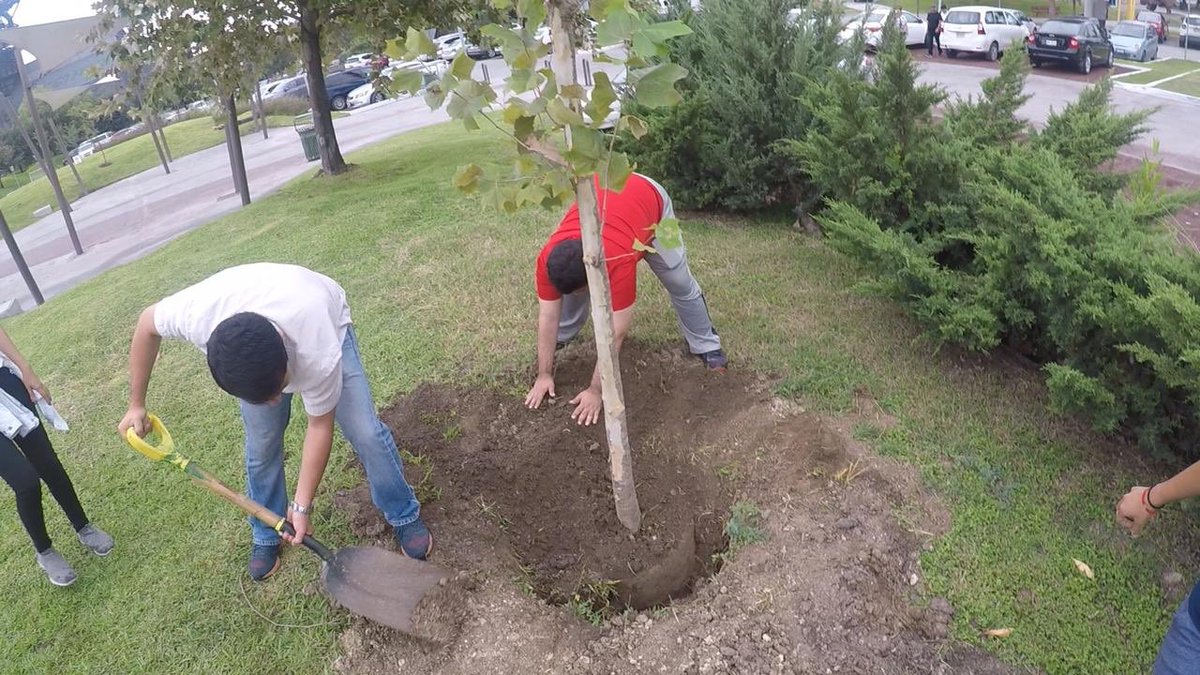 crmonterreypro's tweet photo. @parquefundidora #regalaunsuspiro #rotaryinternational #rotary #rotaract #reforestation #parquefundidora #monterrey #arboles #siembraunarbol #weekend #betheinspiration #donaunarbol https://t.co/3uoSLlsXDf