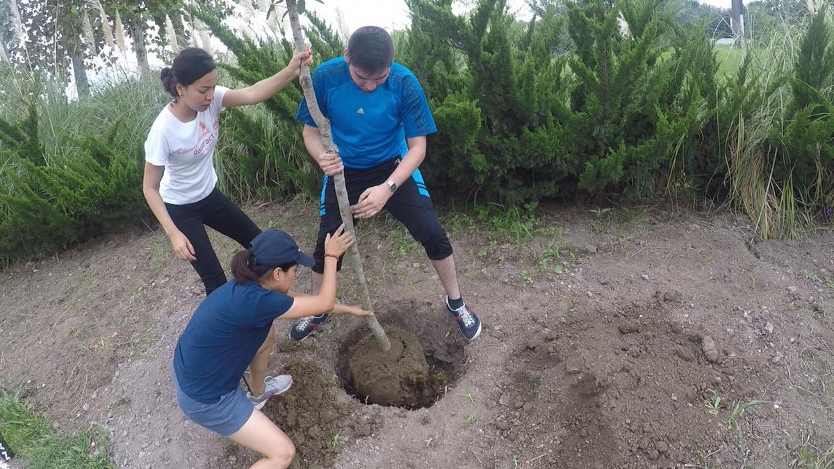 crmonterreypro's tweet photo. @parquefundidora #regalaunsuspiro #rotaryinternational #rotary #rotaract #reforestation #parquefundidora #monterrey #arboles #siembraunarbol #weekend #betheinspiration #donaunarbol https://t.co/3uoSLlsXDf