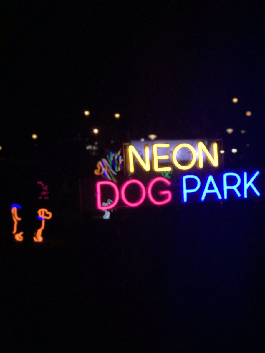 CentralGeelong's tweet image. Geelong you looked great last night. #lovecentralgeelong #whitenightgeelong