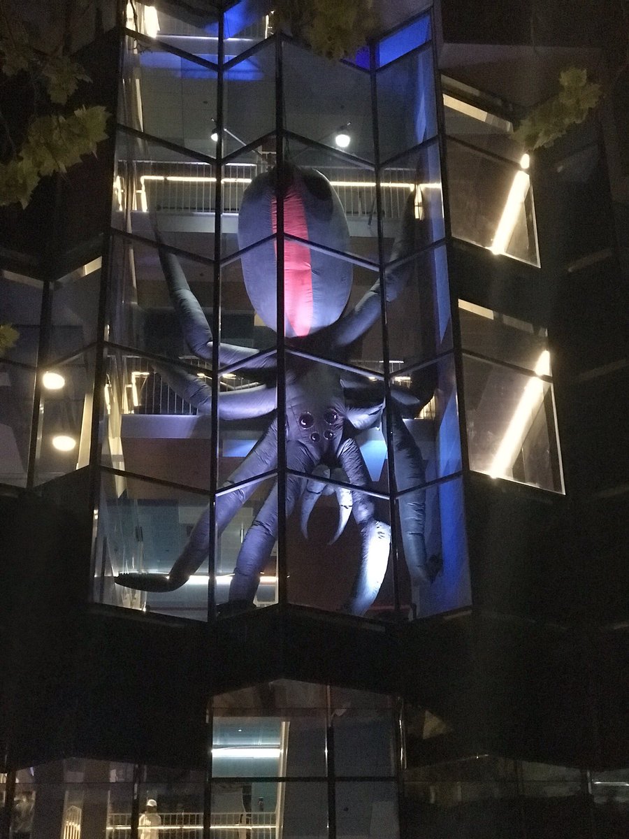 CentralGeelong's tweet image. Geelong you looked great last night. #lovecentralgeelong #whitenightgeelong