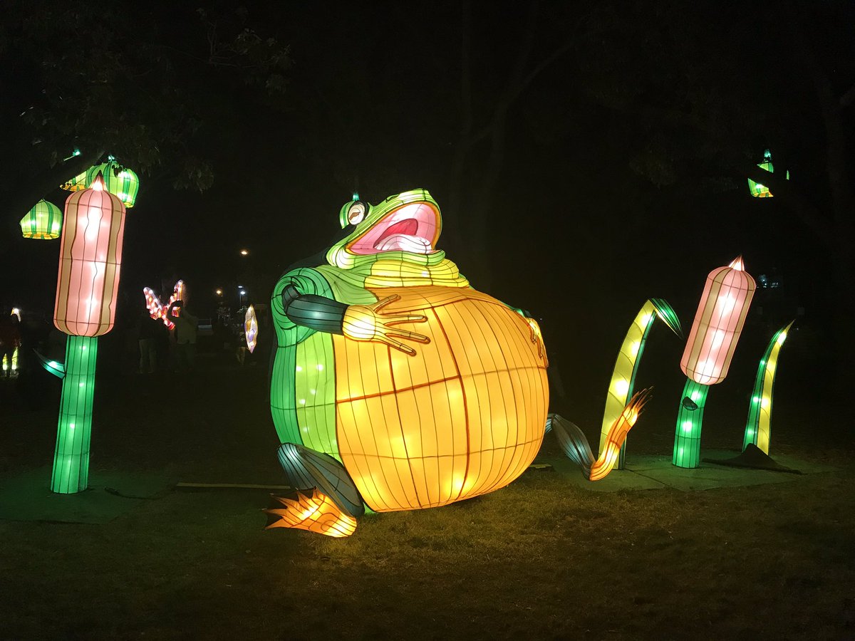 CentralGeelong's tweet image. Geelong you looked great last night. #lovecentralgeelong #whitenightgeelong