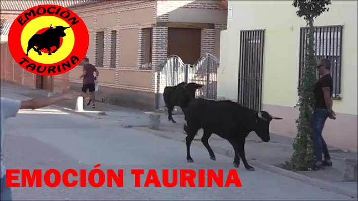 EMOCIONTAURINA's tweet photo. ''Vaca que se quiere escapar y recorte saltando'' Bobadilla del Campo (Valladolid) 2018

https://t.co/wiUMjp6Dkt https://t.co/AAcPC1DDdK
