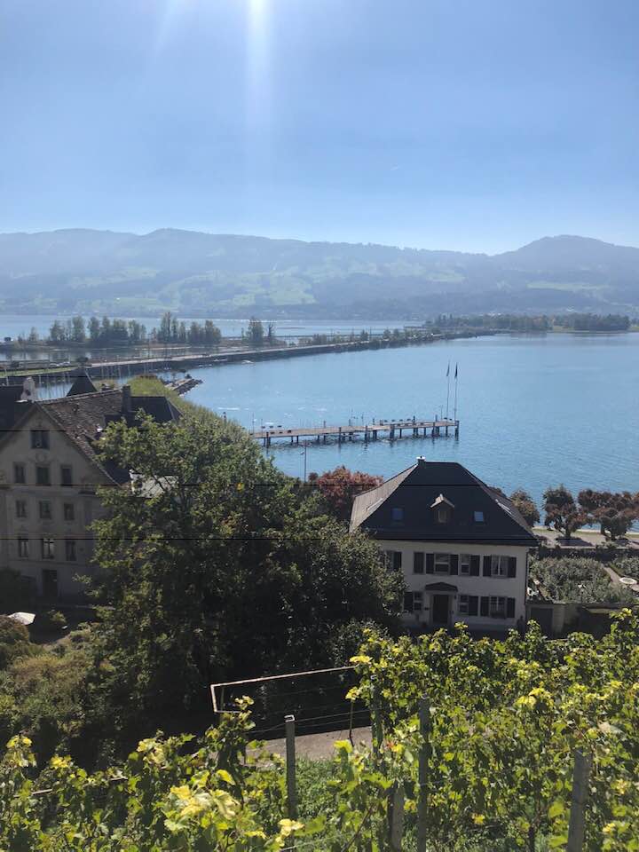 NewInZurich's tweet photo. The #DroneChampionships were just one of the events taking place on Lake #Zurich today in #Rapperswil. See what else is on here: https://t.co/IoumEBvfrf
@VisitZurich @visitrapperswil #Switzerland https://t.co/yo2yGDZLW5