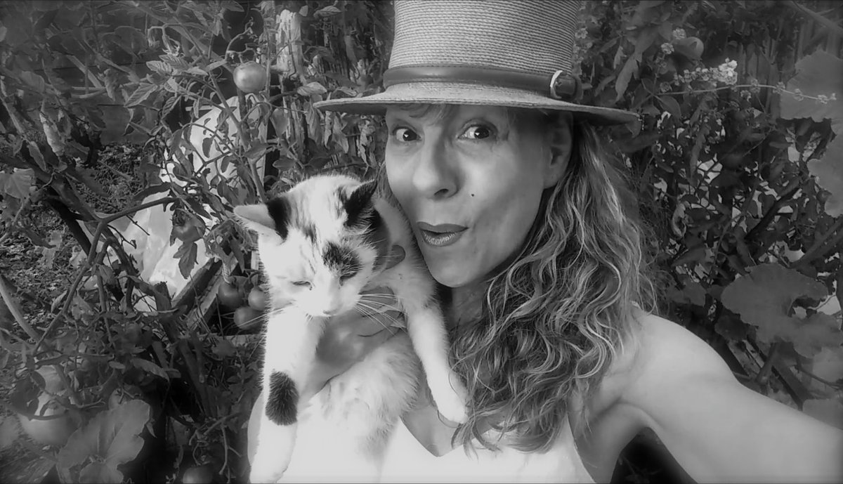 CaTHyMoNiN's tweet photo. #keepcalm and #dontfeedthetroll 😇🤭 https://t.co/Ck7FRECSfN https://t.co/VCHW2Sdz8B