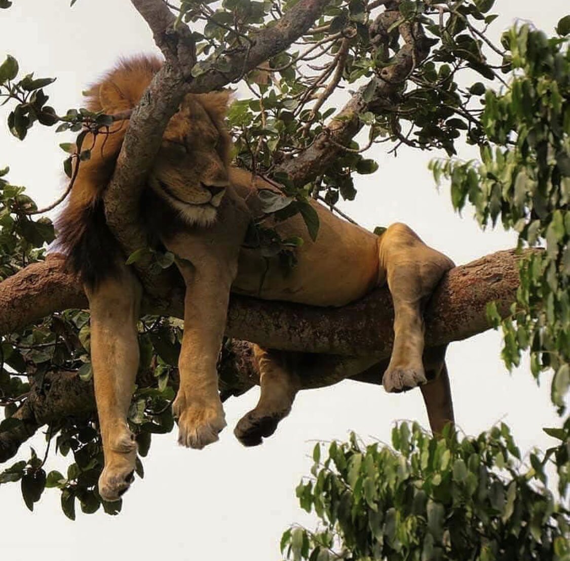 Oooh happy weekend relax and enjoy 😉 😊😊😊<a href="/Angie_Harmon/">Angie Harmon</a> @admirable_angie <a href="/AnnalisaShion/">AnnalisaM</a> @AngieHInspirat1 <a href="/CybermaryMaria/">cybermary</a> @AHarmonTwangel <a href="/andypandy184/">Andy Pandy B.</a> <a href="/TeamTwangels/">TeamTwangels</a> <a href="/TeamTwangels/">TeamTwangels</a> @HollyAngel72 <a href="/jalberg8/">James</a> <a href="/Taina47/">Evelyn Rivera she/her/ella</a> <a href="/gladysclark51/">Gladys Clark</a> <a href="/vbbneighbor/">Christina B.</a> <a href="/HelenLiveInHope/">Helen</a> @Vaughan_Harmon