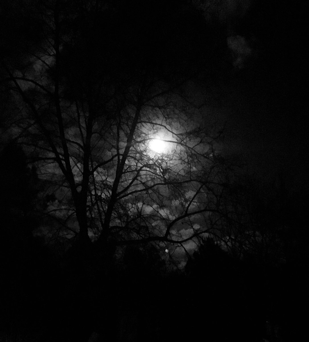 ExploringStop's tweet image. La nuit est sombre .... #WinterIsComing
