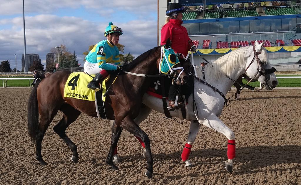 horseracesnet's tweet photo. Hembree returns after winning the Nearctic Stakes at Woodbine #CanIntl https://t.co/82ajgVWFzP