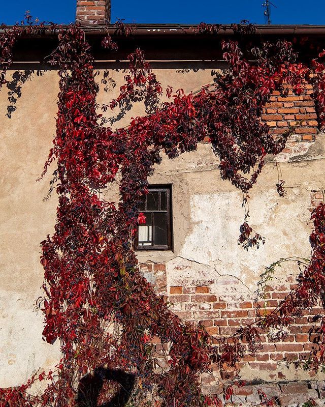 boblumCZX's tweet photo. Já ten podzim prostě miluju :-) #autumn #czech #igraczech #iglifecz #igerscz #podzim #samsungnx #bohemia #picoftheday #instagood https://t.co/Lgu7XplUbN https://t.co/GLR0FnFS1V