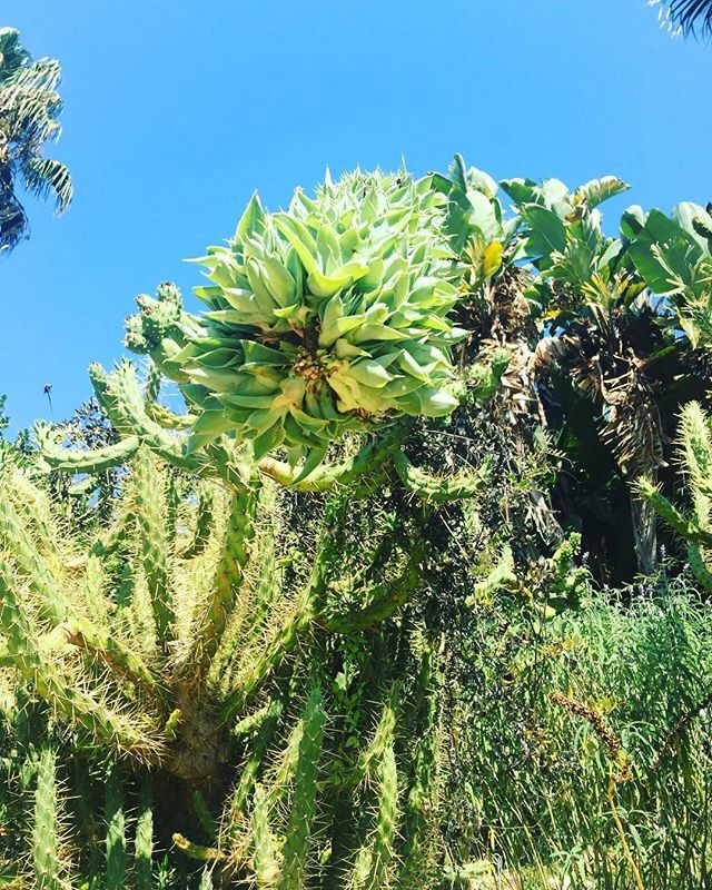 PaoloAnnibali's tweet photo. #love #mothernature #nature #plants #sopretty #tagsforlikes #green #insta_pick_ #tagsta #tagsta_nature #TagsForLikes #tree #moment #photo #photography #photooftheday #photos #pic #picoftheday #pictures #tagsforlikes #instagood #f4f #follow #followall #fo… https://t.co/zLYNMkstQW https://t.co/Xo0dFOSYaA