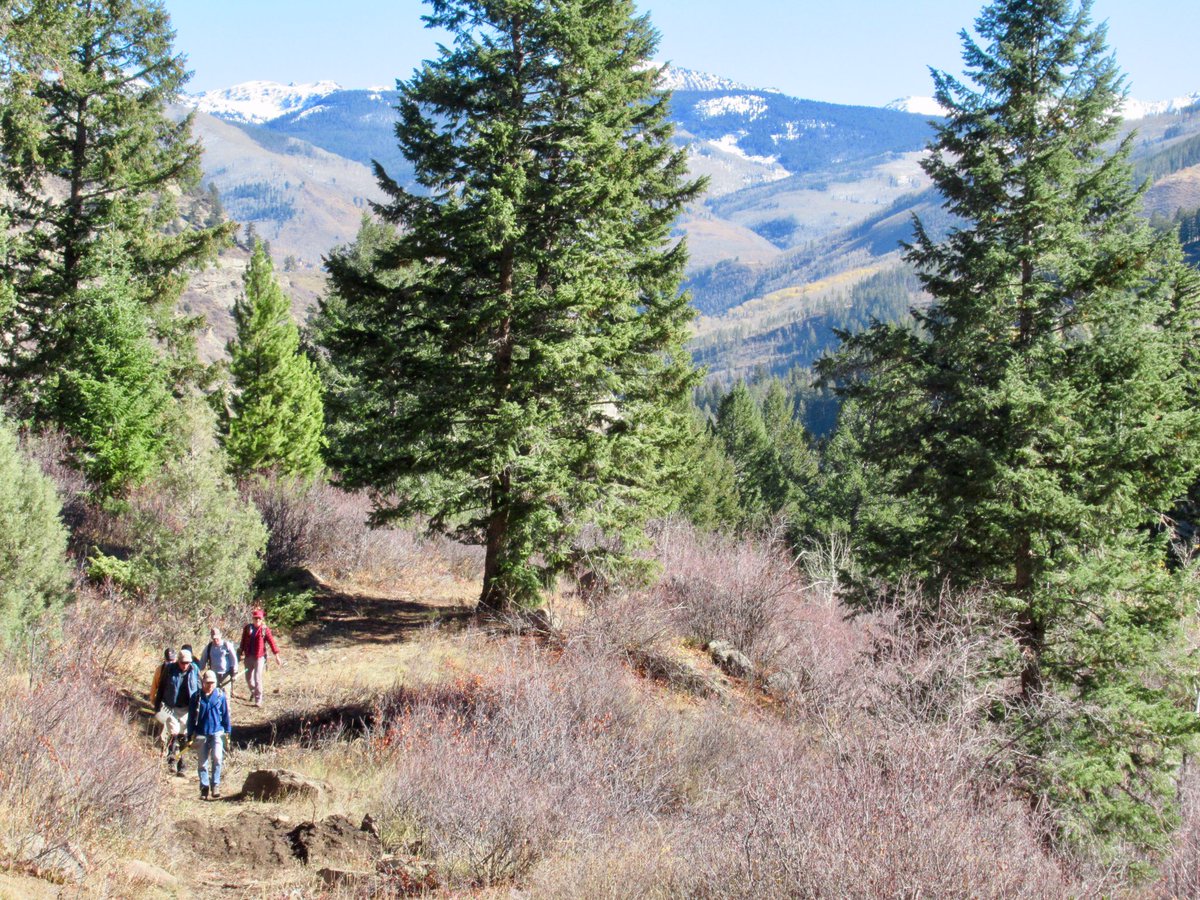 JeffKerkove's tweet image. Coming soon to the Vail Valley thanks to a lot of hard working volunteers, the USFS and the VVMBA: Everkrisp Trail 👌🏻
—
#vvmba #trailwork #vail #colorado