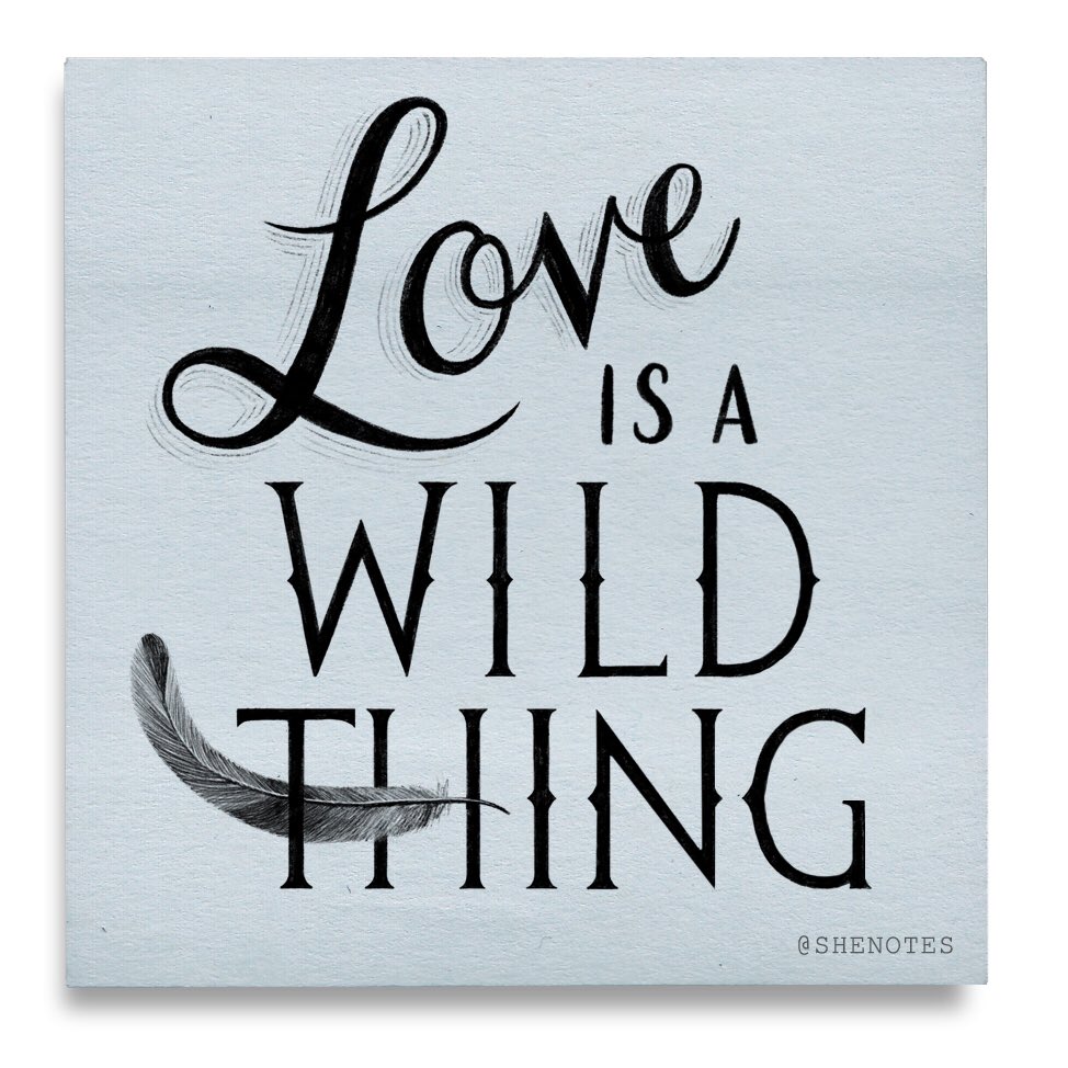 shenotes's tweet photo. One of our besties is tying the knot today! To honor, a note inspired by the terrific @KaceyMusgraves. #lovewins #shenotes #handlettering https://t.co/ErUkRJFOV3