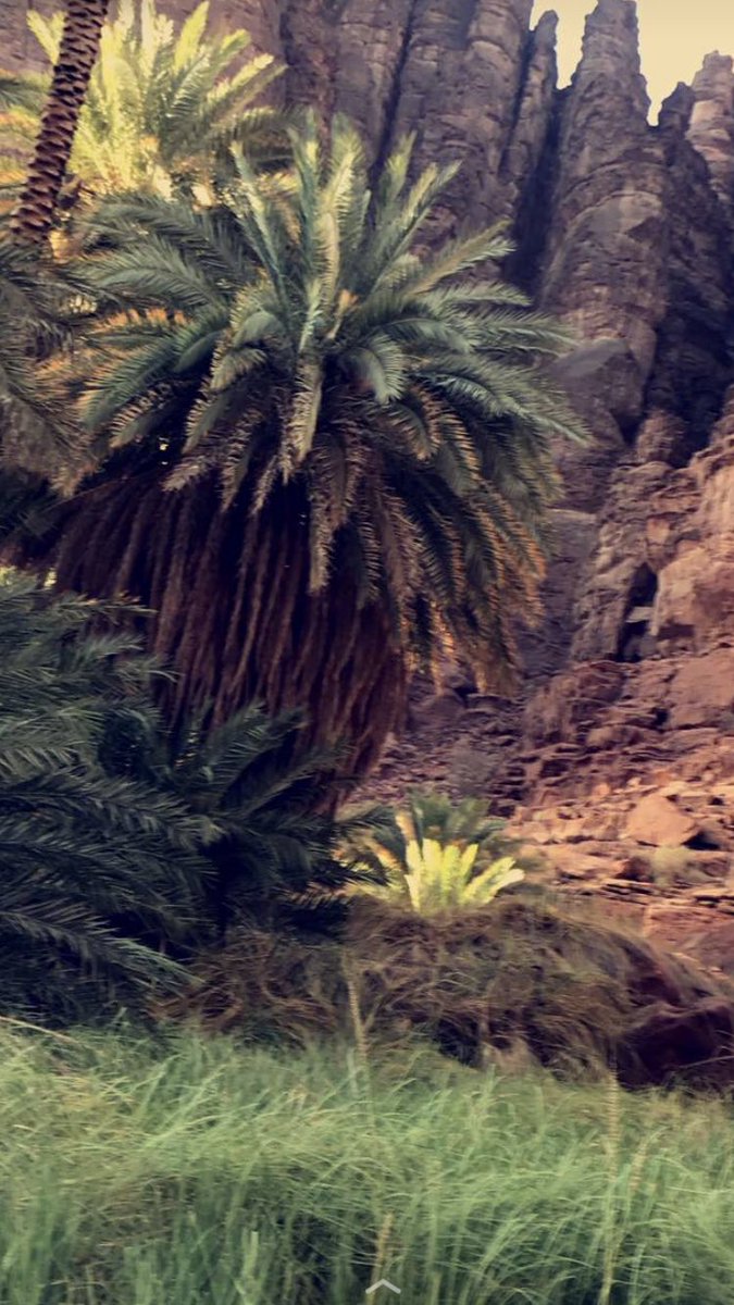 hassan20182018's tweet photo. #وش_تعرف_عن_تبوك هي دار كرم ووفاء ومحبه وهي أيضاً دار الأحبه 🙏 https://t.co/8y3UFQR3fC