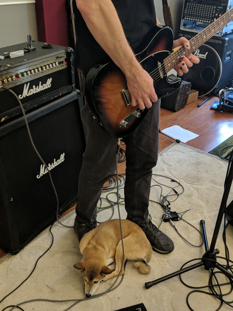 Maya doesn't mind the tunes 🤙