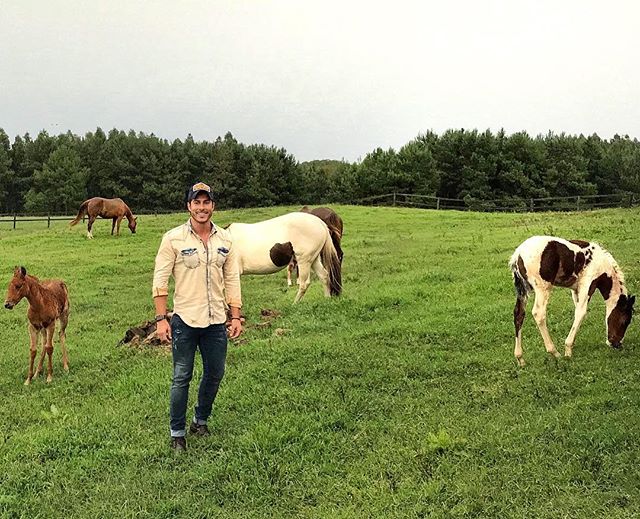 IamBrunoCastelo's tweet photo. #Fazenda #Farm #campo #natureza #Jaguariaíva #Paraná #Brasil https://t.co/D21fvXc5ec